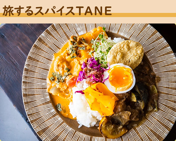 旅するスパイスTANE