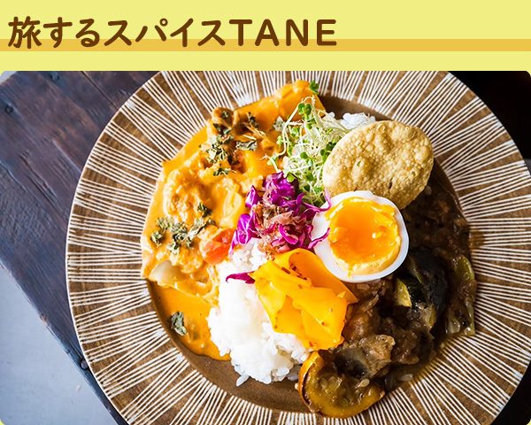旅するスパイスTANE