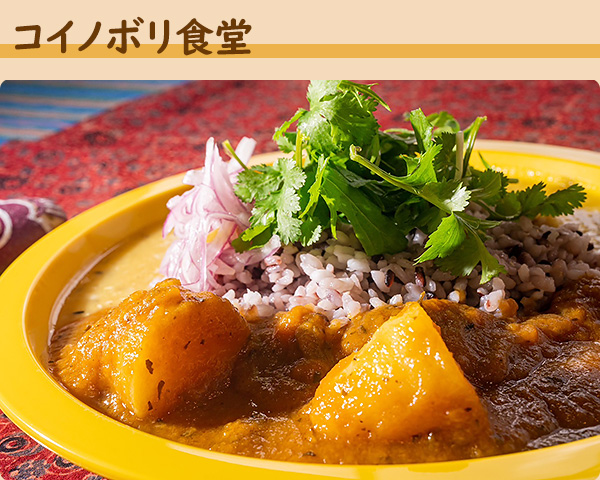 コイノボリ食堂